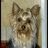 Profile Picture of Maryann (@MaryannWalters7) on Twitter