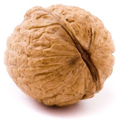 OnlyHalfNuts's profile picture. I'm not crazy I'm @OnlyHalfNuts.  Cancer awareness/fundraising page of @cpgeschke.   Testicular cancer survivor/ninja/maillot jaune