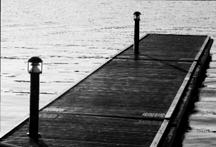 mannaci's profile picture. 