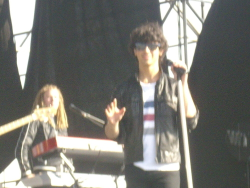 kattytax's profile picture. 