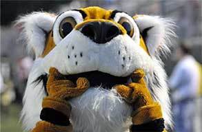 Rawr! Go Tigers!! snapchat and Instagram: conwaytig