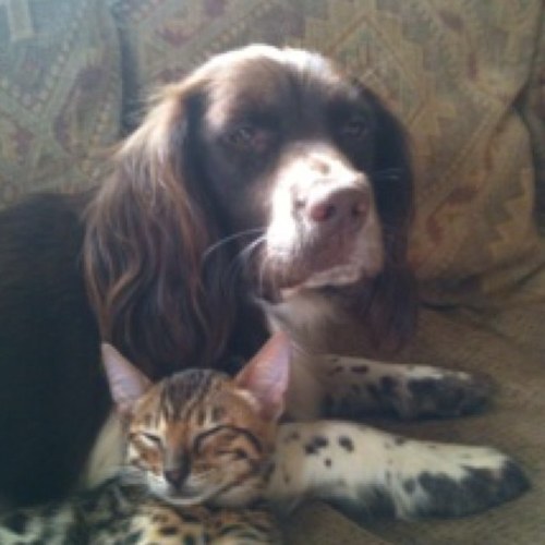 HannahBolwellB's profile picture. I LOVE ENGLAND RUGBY AND THE NEWZLAND HACKER. :-)