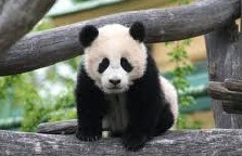 glaviles's profile picture. "La vida es parte del tiempo. El tiempo es parte de la vida. Por eso les regalo un poquito de mi tiempo para que sean parte de mi vida".