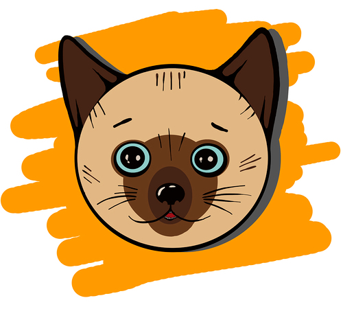 LittleLarryCat's profile picture. I'm Little Larry.
And I'm a small thai kitten. I like hardcore, my host and sweets :) My page in youtube: http://t.co/GOkFqFaSmY