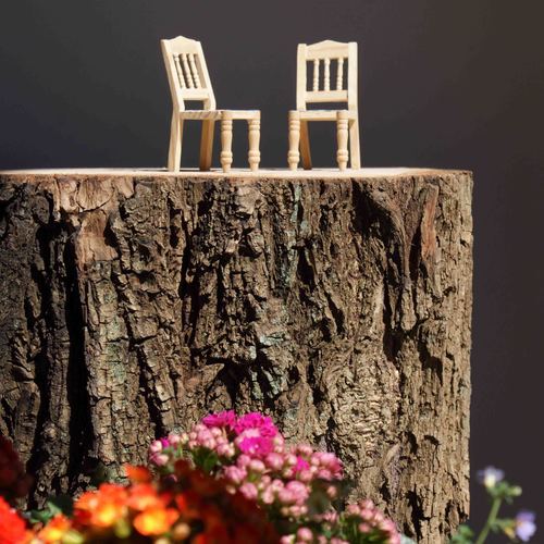 VIVEroCREAtivo's profile picture. ... nace con la vocación 
de dar luz a su propio nombre.
Ámbito arquitectónico, cultural y artístico