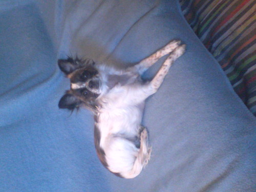 swami63's profile picture. playsation3 xbox360 WII U PSP DS Politik Umwelt  Religoese Interoleranz!!!!