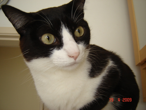 janavidal's profile picture. 