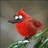 MargaretRS_'s profile image