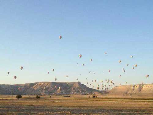 NurcanOrdek's profile picture. 