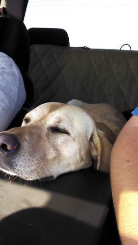 jaymeier24's profile picture. 