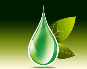 Kangen Water® is delicious water created from Enagic’s innovative water technology. Not only do these devices filter your tap water, but they also produce ioniz