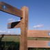 South Downs Way (@SouthDownsWayNT) Twitter profile photo