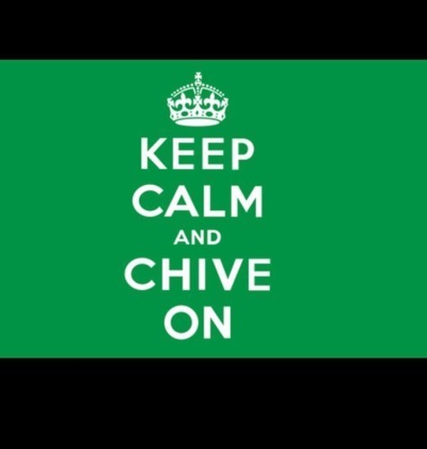 Loyal #Chivers & #Chivettes of Nashville and surrounding areas. #KCCONashville *no affliation with http://t.co/XAwXz443kD (but enjoy, you're welcome)