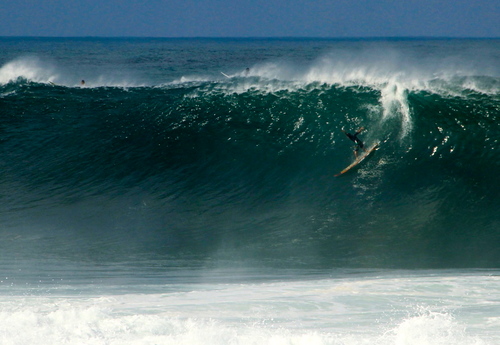 TJkaionab's profile picture. Born in the Hawai'i with Plenty ALOHA\'''/