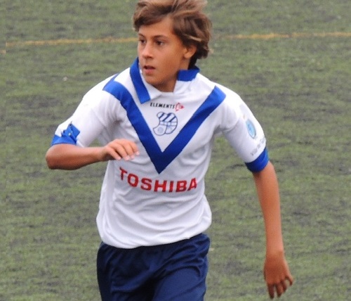 Periodista