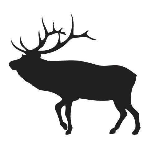 Just an elk doing what elks do