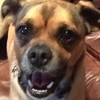 Sammy Marcello (@smarcello64) 's Twitter Profile