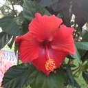 Hope Tate - @hltate14 - Twitter