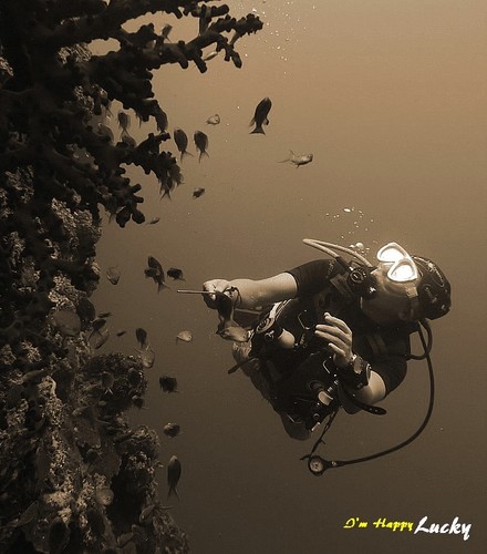 bwgo638's profile picture. 여행과 취미로 스쿠버다이빙을 즐기는 자유로운 영혼^^
트위터는 첨이라  많이 서툴지만 친구해 주세요.~~
블로그주소 : http://t.co/MH7OdwhlQA 
모두들 행복하세여*^^*