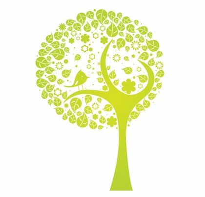 kaylamaria311's profile picture. connector, systems thinker, lifelong learner