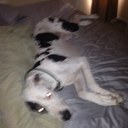 chris coolidge - @Cmcool50Chris - Twitter