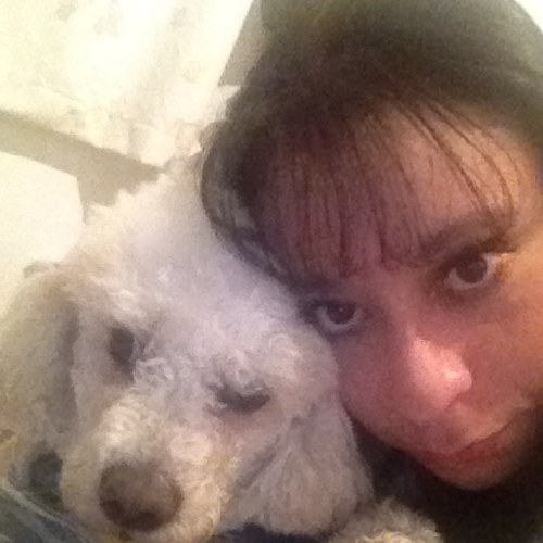 KaRaMeLiTo_MC's profile picture. 🎶quiero bailar, no quiero irme en ambulancia🎵