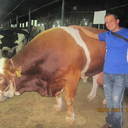 hector mitre perez - @hectormitrepere - Twitter