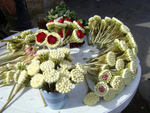 wassalo's profile picture. Liberty, Equality and Tolerance