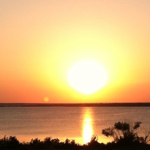 jami_alford's profile picture. Christian, wife, mother of two awesome boys. I am the QUEEN in my house and love it!  Health & Fitness is a lifestyle not a 30 day program!