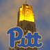 Pete S. (@pittbullpete41) Twitter profile photo Pete S. (@pittbullpete41) Twitter profile photo