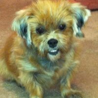 Clare Billson💙 (@billsonclare) 's Twitter Profile Photo Clare Billson💙 (@billsonclare) 's Twitter Profile Photo
