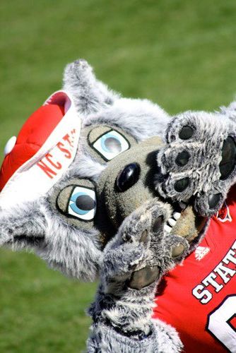 I am Mr. Wuf, NC State's mascot. Join my page to see what events I will be at. Also, I will be posting general comments and photos from time to time.