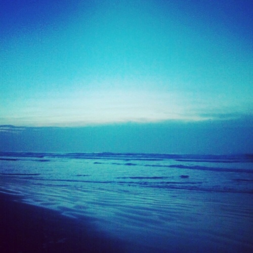 yellowjellyfish's profile picture. 音楽と自然と仕事。 面白きこともなき世を面白く 住みなすものは心なりけり。 唯一無二を目指して、少人数でもいいから飛び上がるくらい喜んで頂けること。