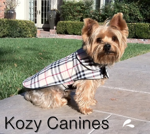 Maker of beautiful dog coats!!
http://t.co/aXCzmHTQqp