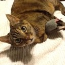 Lori Priest - @priestl11 - Twitter