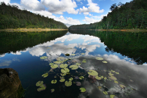 Byron Bay & Beyond = natural beauty, amazing people, fresh incredible food & more.