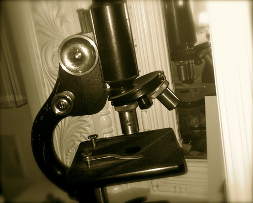 quirkyhistotech's profile picture. #Immunohistochemistry #Histology #MolecularPathology #LCM #IHC #CellCulture #Pathology #Research #Science #Microscopy #ISH