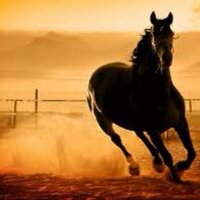 الطبقة الكادحه (@oldcolleagues) 's Twitter Profile