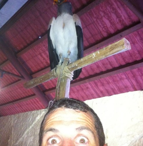 sionw13's profile picture. 