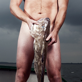 vissermannenkal's profile picture. Blootkalender van mannen die vissen voor de kost. Hét kado van de Nederlandse Vissermannen aan hun Vissersvrouwen. Per december te koop.