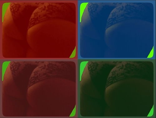 _sweetsmartsexy's profile picture. Sweet little southern belle, 3.9 GPA in psychology & i'll rock your fucking world. #TeamNaked #TeamNympho Avi is my ass ;) will #picslip every 50 followers