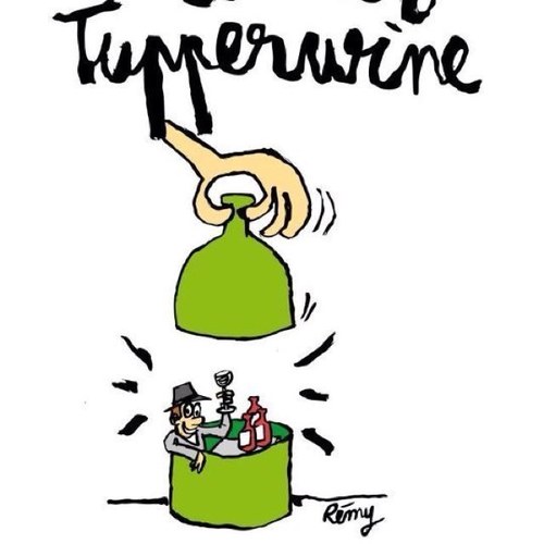 TupperWine's profile picture. 5 vins #bio #naturels, des mets, 2 heures de dégustation et d'échange, 30€, une fois par mois, tout public.