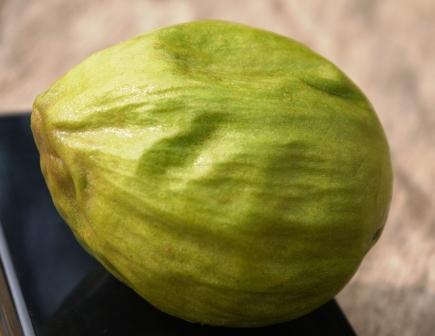 JustSheabutter's profile picture. This page is one of the many ways you can communicate with Homegrown Products. We deal in high quality Shea Butter and Shea Nuts.