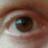 billytoro696's profile image