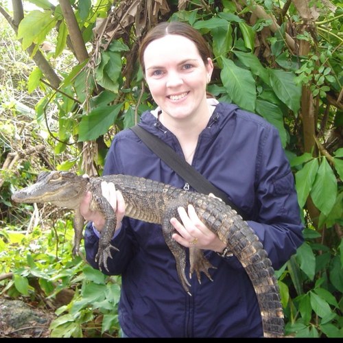 sjcossie's profile picture. 