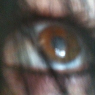 b00bietron's profile picture. can’t everyone just get along?