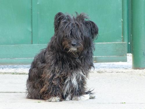 NonPersGallery's profile picture. Free non person photo gallery. We share our photos in different resolutions and size, for free download and use.
https://t.co/9EVQfU44td