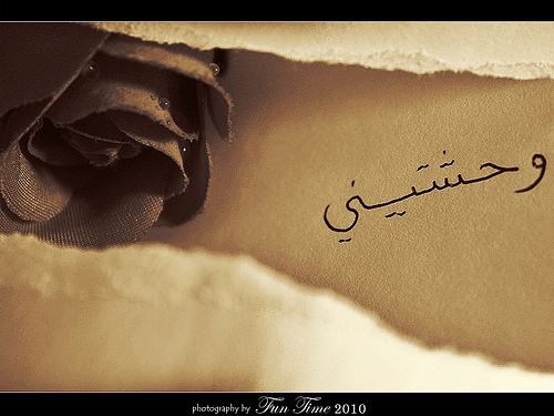 ما اجمل ان لا نفعل شيئ ثم نجلس لنرتاح قليلا