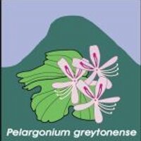 Greyton Conservation (@greytonconsscty) 's Twitter Profile