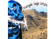 Al Johnson, MA - @AlJohns14605331 - Twitter